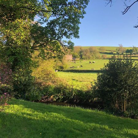 Bed and Breakfast Bow Mill Farm Totnes Zewnętrze zdjęcie