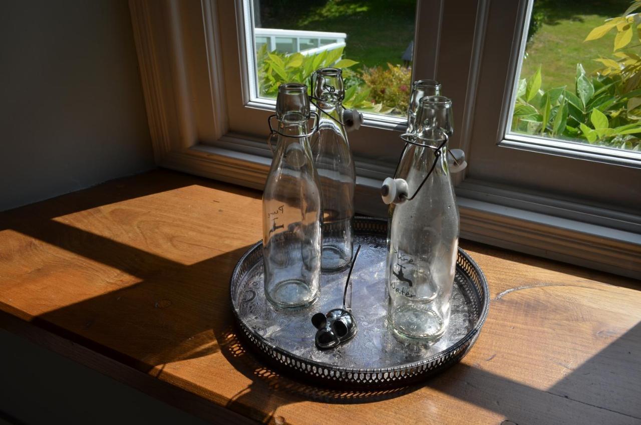 Bed and Breakfast Bow Mill Farm Totnes Zewnętrze zdjęcie